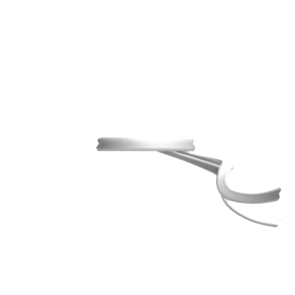 Roblox White Headband