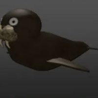 Walrus Roblox Assassin Wikia Fandom