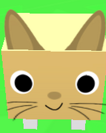 Orange Cat Roblox Big Games Pet Simulator Wiki Fandom