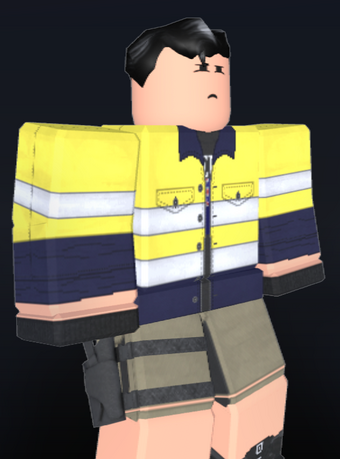 Roblox Pilot Outfit