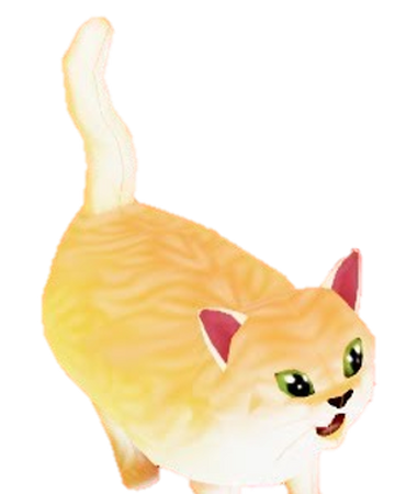 Roblox Roblox Pictures Of Cats