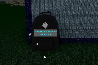 Backpack Roblox Camping Wiki Fandom - airplane roblox camping wiki