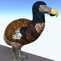 Dodo Roblox Cenozoic Survival Wiki Fandom - dodo bird roblox