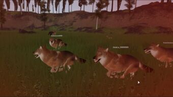 Dire Wolf Roblox Cenozoic Survival Wiki Fandom - roblox wolf games