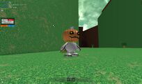RobloxScreenShot02142013 174756534