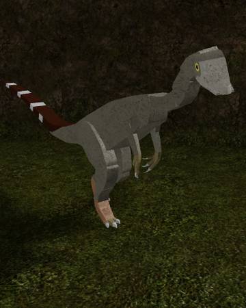 Compsognathus Roblox Dinos World Wiki Fandom