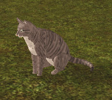 Roblox Farm World Norwegian Forest Cat