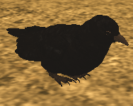 American Crow Roblox Farm World Wiki Fandom - the crow base roblox