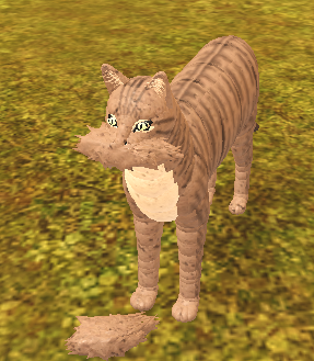 Mackerel Tabby Roblox Farm World Wiki Fandom - roblox farm world cats