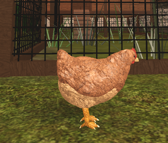 Roblox Farm World Silkie