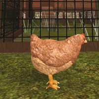 Silkie Chicken Farm World Roblox