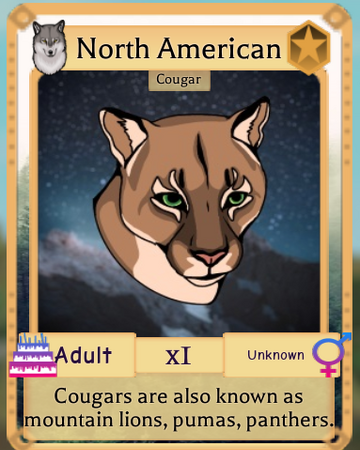 North American Cougar Roblox Farm World Wiki Fandom - roblox animal life