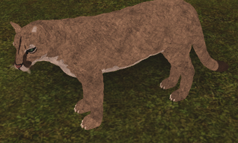 North American Cougar Roblox Farm World Wiki Fandom - roblox farm world kitsune