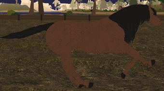 Farm World Roblox Money Glitch