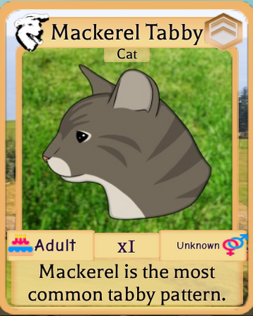 Mackerel Tabby Roblox Farm World Wiki Fandom - mackerel tabby roblox farm world wiki codes for farm world in roblox' Mackerel Tabby Roblox Farm World Wiki Fandom - codes for farm world in roblox'