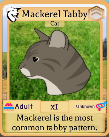 Mackerel Tabby Roblox Farm World Wiki Fandom - roblox ico