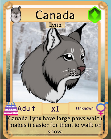 Canada Lynx Roblox Farm World Wiki Fandom - dog roblox rpg world wiki fandom