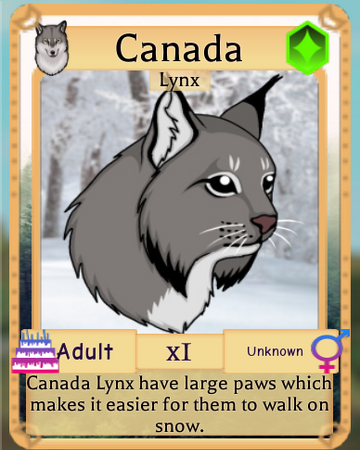 Canada Lynx Roblox Farm World Wiki Fandom - roblox wild savannah testing how to get free robux on mac