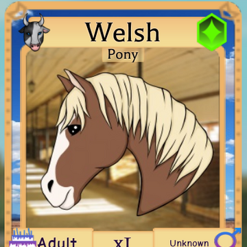Welsh Pony Roblox Farm World Wiki Fandom