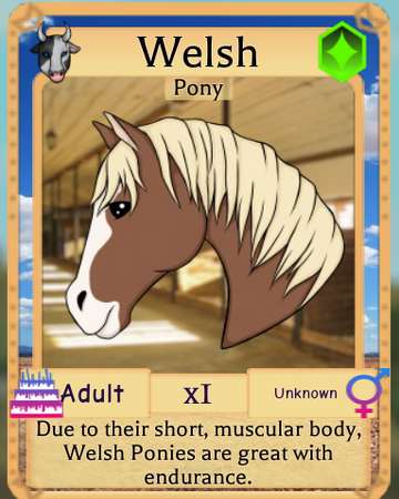 Welsh Pony Roblox Farm World Wiki Fandom
