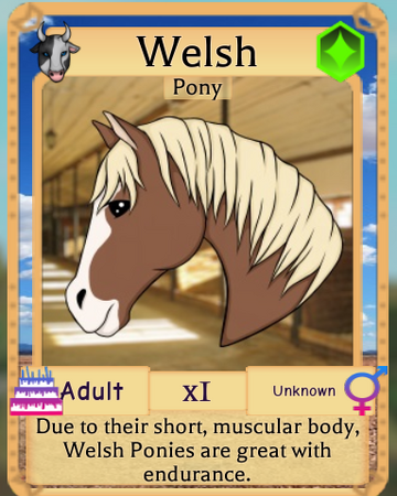 Welsh Pony Roblox Farm World Wiki Fandom - robux.farm