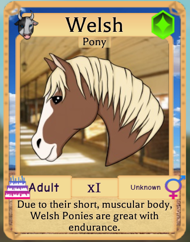Welsh Pony Roblox Farm World Wiki Fandom