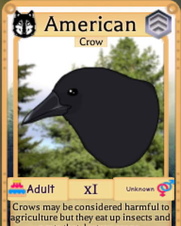 American Crow Roblox Farm World Wiki Fandom - roblox eating sound effects