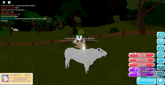 Chianina Cow Roblox Farm World Wiki Fandom - cow farm roblox