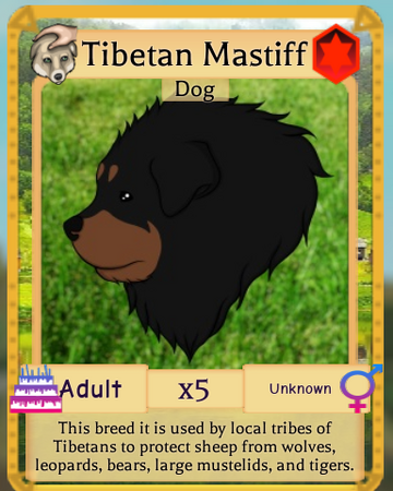 Tibetan Mastiff Roblox Farm World Wiki Fandom