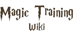 Elder Wand Spells Magic Training
