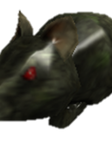 roblox rat nose Infected Lab Rat March Of The Dead Wiki Fandom