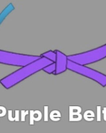 Purple Belt Roblox Ninja Legends Wiki Fandom - evanescence roblox