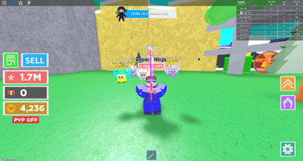 Expert Ninja Roblox Ninja Masters Wiki Fandom - roblox ninja masters max level