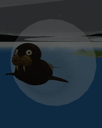 Walrus Roblox Pilot Training Flight Plane Simulator Wiki Fandom