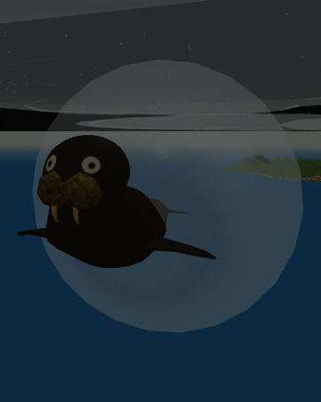 Walrus Roblox Pilot Training Flight Plane Simulator Wiki Fandom - seals seal xo roblox