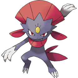 Weavile Wiki Roblox Pokemon Adventures Fandom - pokemon adventures roblox wiki