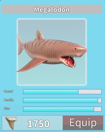 Megalodon Roblox Shark Bite Wiki Fandom