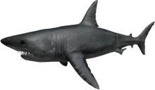 Roblox Sharkbite Codes 2018 July Robux Promo Codes August 2019 Live - codes for sharkbite roblox 2018 november