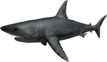 Roblox Sharkbite Hacks