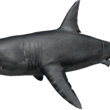 This Giant Old Shark Ate Our Titanic In Shark Bite Roblox Codes For Roblox Youtube Slaving Simulator Uncopylocked - denis daily roblox shark