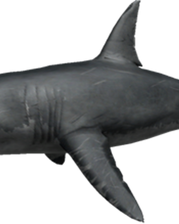 Shark Attack Roblox Game