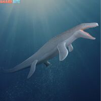 Mosasaurus Roblox Shark Bite Wiki Fandom