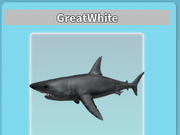 Category Sharks Roblox Shark Bite Wiki Fandom