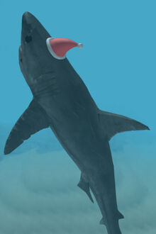 Shark | Roblox Shark Bite Wiki | FANDOM powered by Wikia