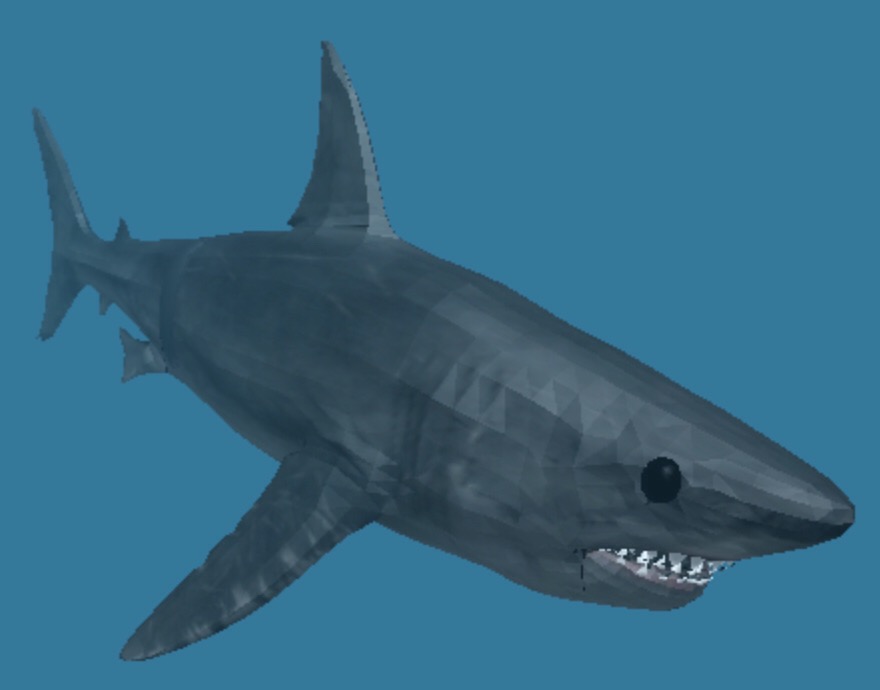 Shark Roblox Shark Bite Wiki Fandom Powered By Wikia - 