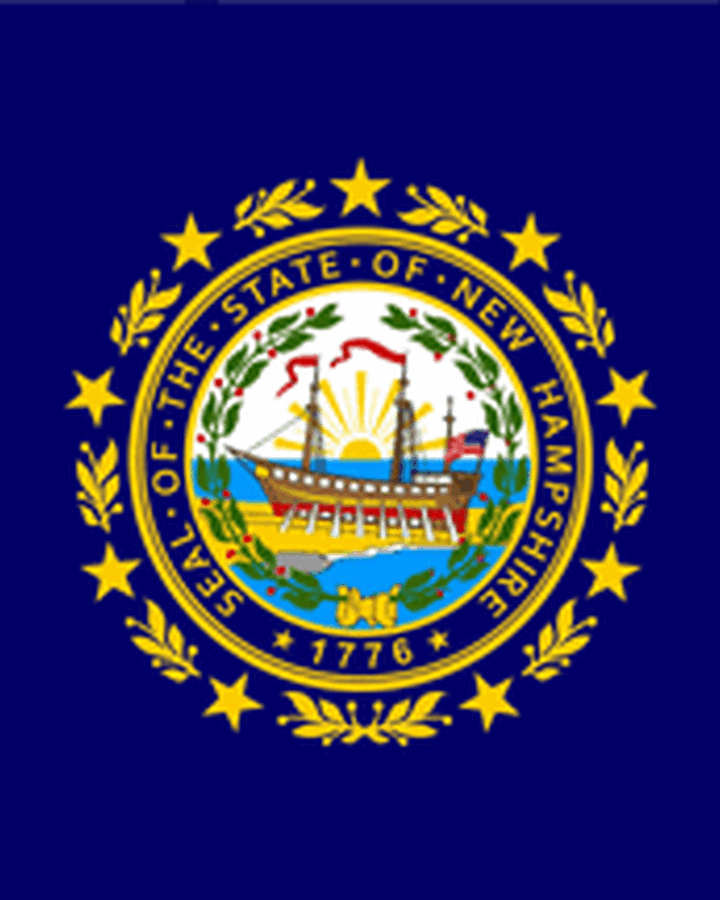 New Hampshire Militia Roblox The Northern Frontier Wiki Fandom