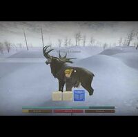 Elk Roblox The Northern Frontier Wiki Fandom