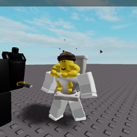 Goner Roblox Admin Commands