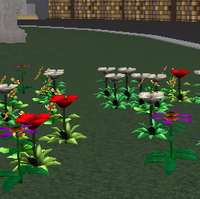 Floris Roblox Vale School Of Magic Wiki Fandom