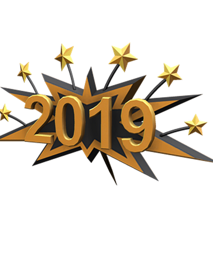 2019 Lapel Pin Roblox Wikia Fandom